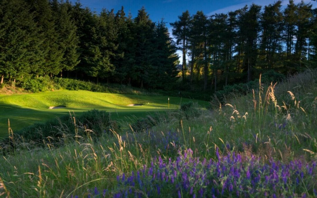 Powerscourt East stop added to Irish Golfer Event Schedule 2020