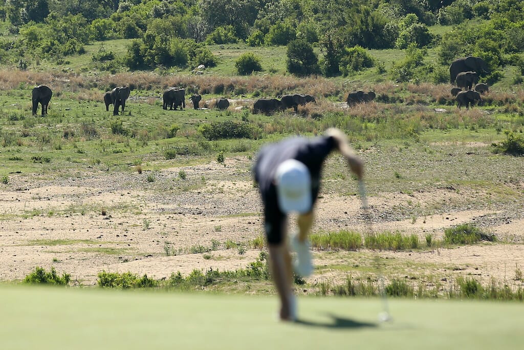 Caldwell and Sharvin return to the wilds of Leopard Creek