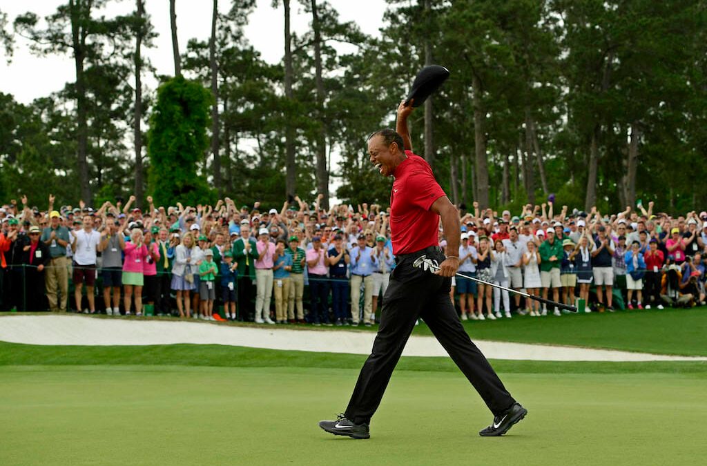 Tiger gave me the greatest comeback in sport. I don’t need another