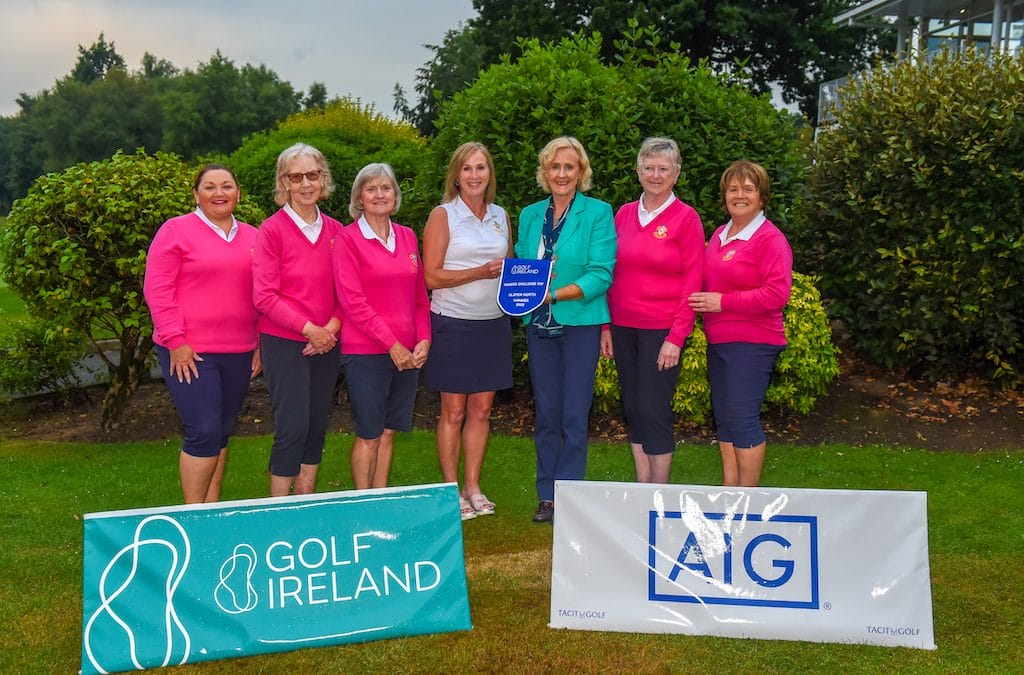 AIG All-Ireland Inter-Club Finals take shape after weekend of Area Finals