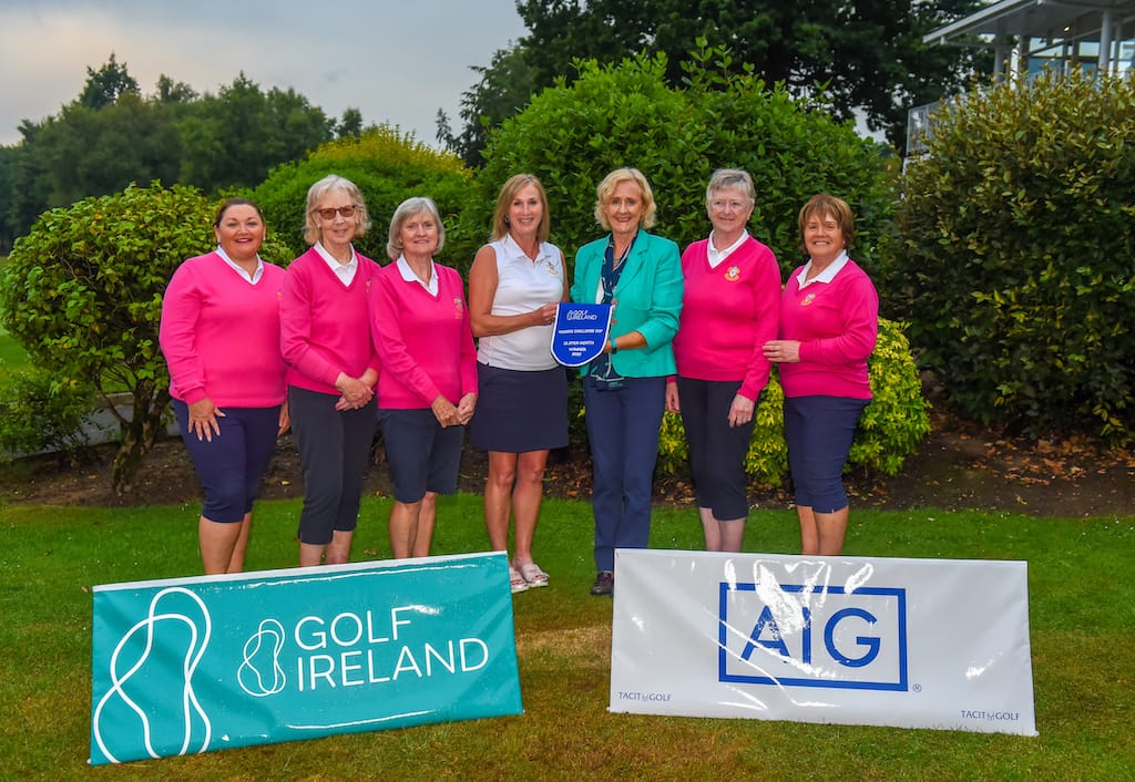 AIG All-Ireland Inter-Club Finals take shape after weekend of Area Finals